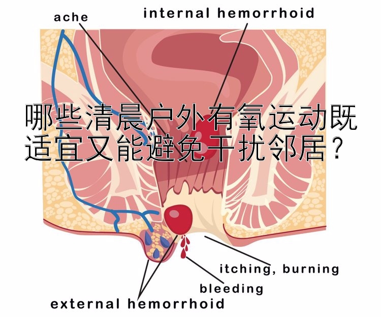 哪些清晨户外有氧运动既适宜又能避免干扰邻居？