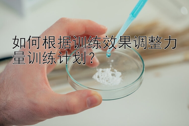 如何根据训练效果调整力量训练计划？