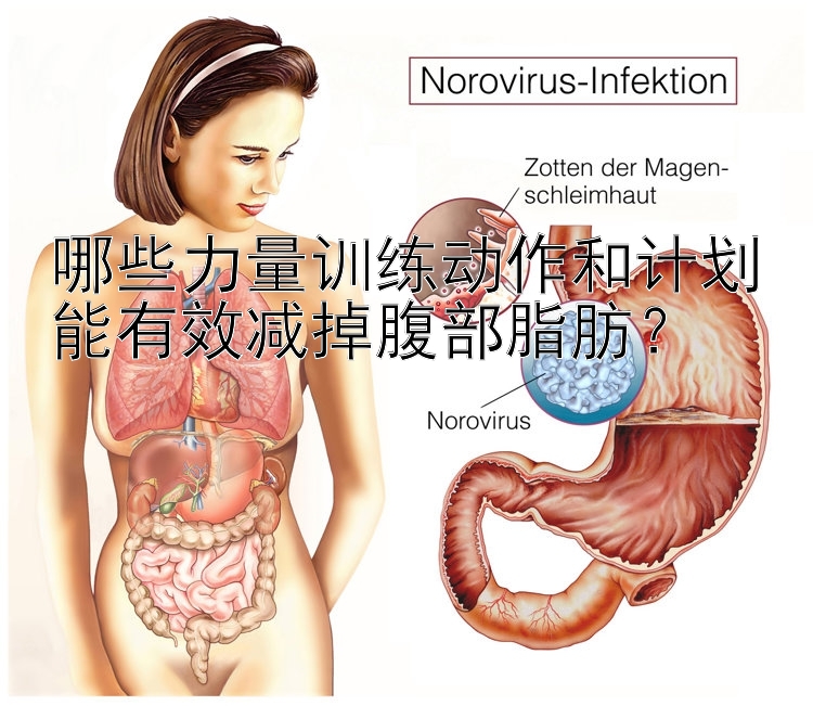 哪些力量训练动作和计划能有效减掉腹部脂肪？