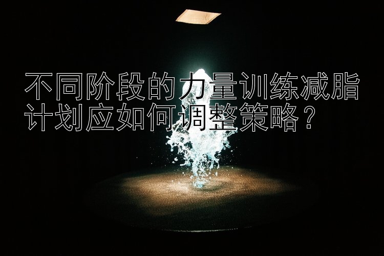 不同阶段的力量训练减脂计划应如何调整策略？