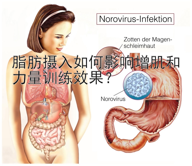 脂肪摄入如何影响增肌和力量训练效果？